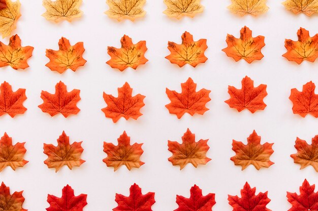 Flat lay of autumn leaves pattern