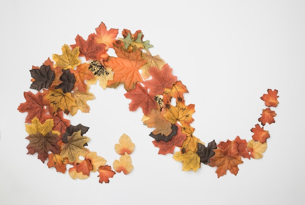 Flat lay of autumn leaves placed in abstract pattern