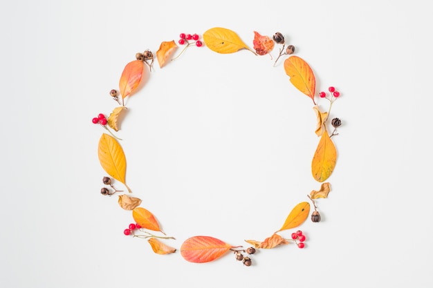 Flat  lay autumn leaves round frame