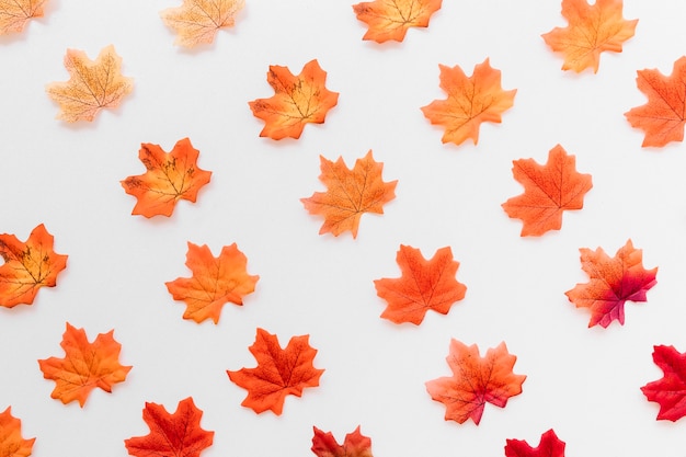 Free photo flat lay of autumn leaves texture