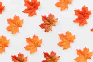 Free photo flat lay of autumn leaves texture