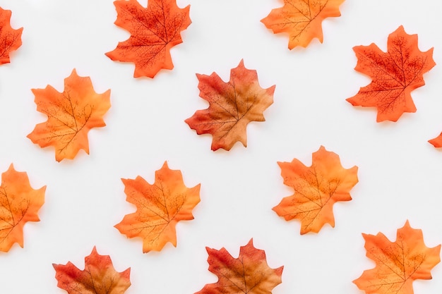 Flat lay of autumn leaves texture