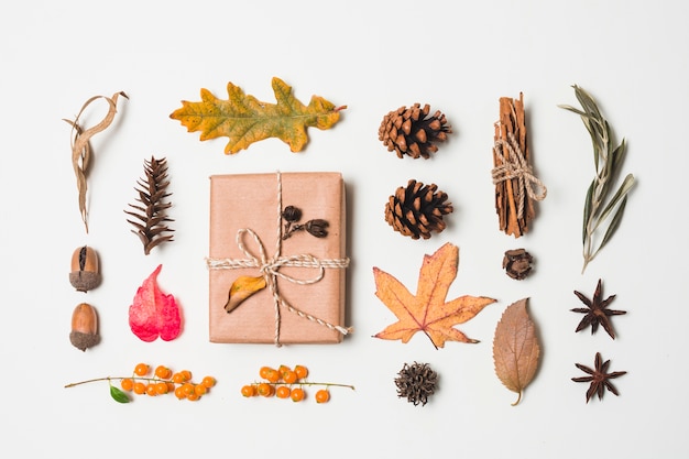 Flat lay autumn leaves variety