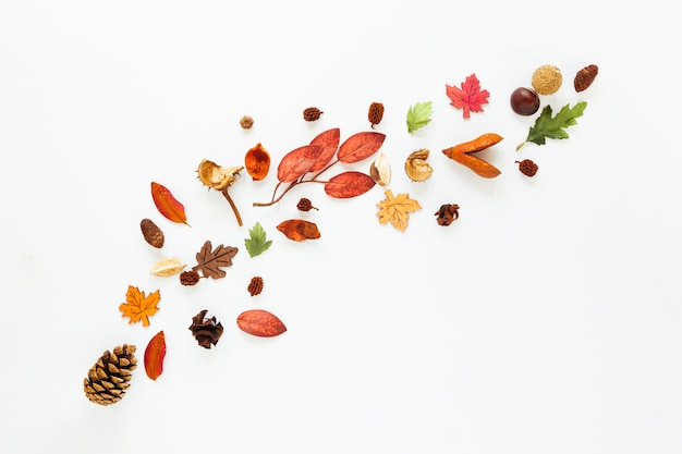 Flat lay autumn leaves on white background