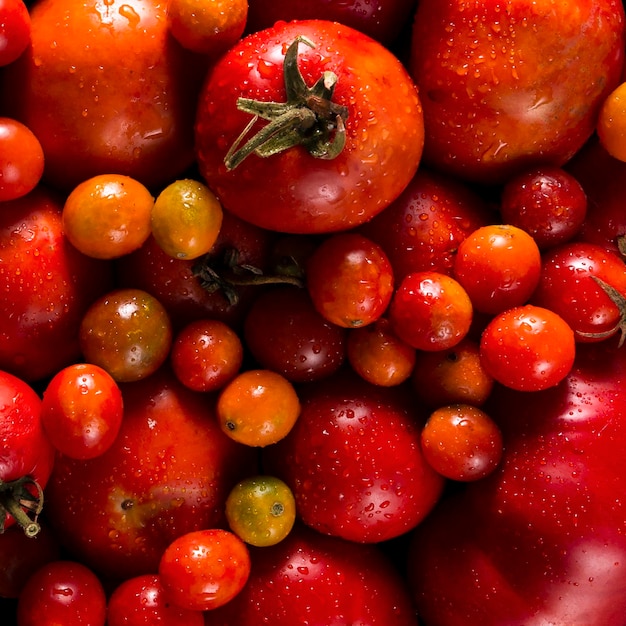 Flat lay of autumn tomatoes