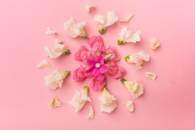 Free photo flat lay beautiful composition of flowers