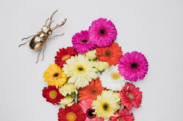 Flat lay of beautiful flowers