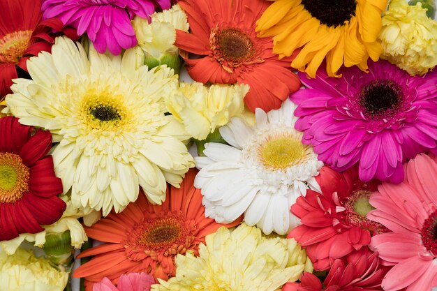 Flat lay of beautiful flowers