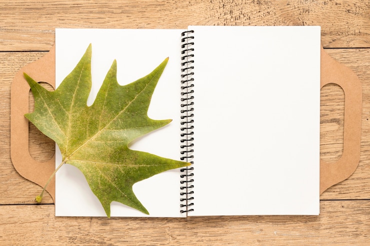 Free Photo flat lay of beautiful nature concept