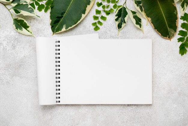 Flat lay of beautiful plant leaves with notebook