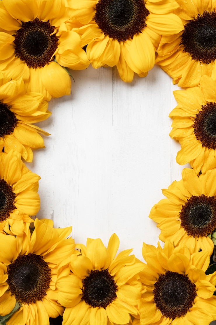 Free Photo flat lay beautiful sunflower frame