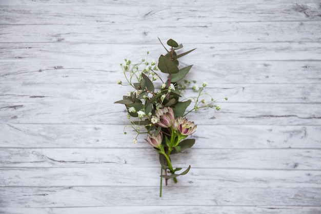 Flat lay of beautiful wildflowers