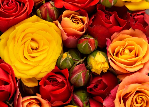 Flat lay of beautifully bloomed colorful flowers