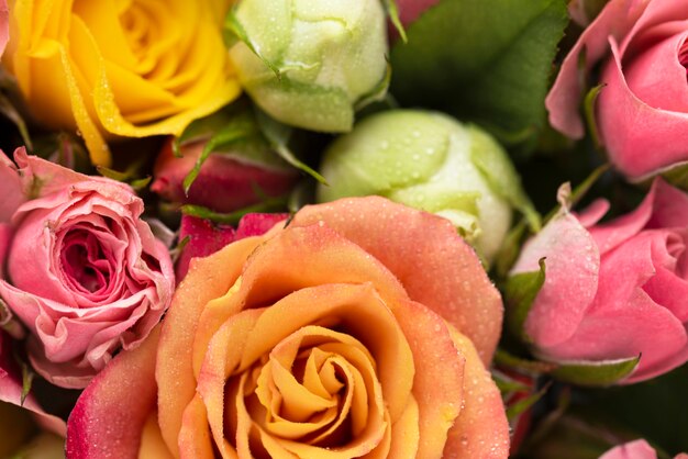 Flat lay of beautifully bloomed colorful flowers