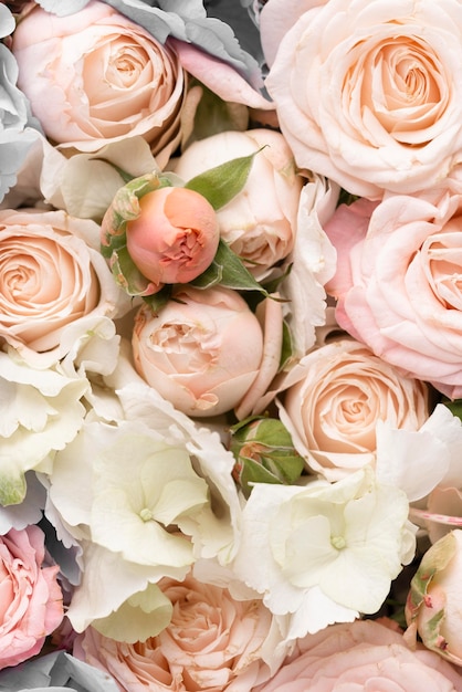 Flat lay of beautifully bloomed colorful rose flowers