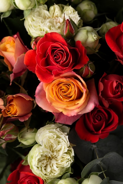 Flat lay of beautifully bloomed colorful rose flowers