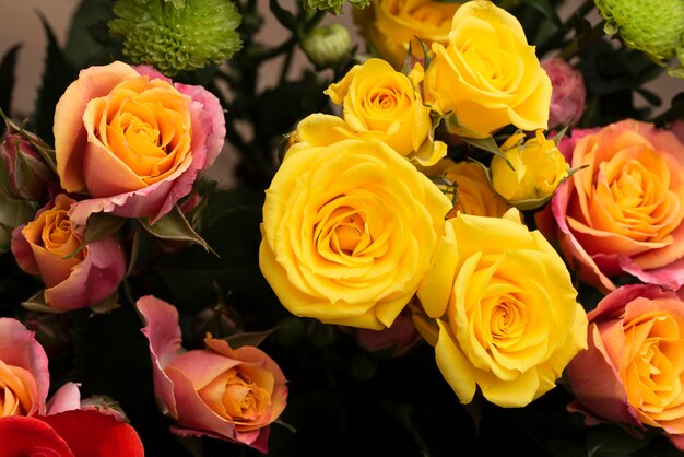 Flat lay of beautifully bloomed colorful rose flowers