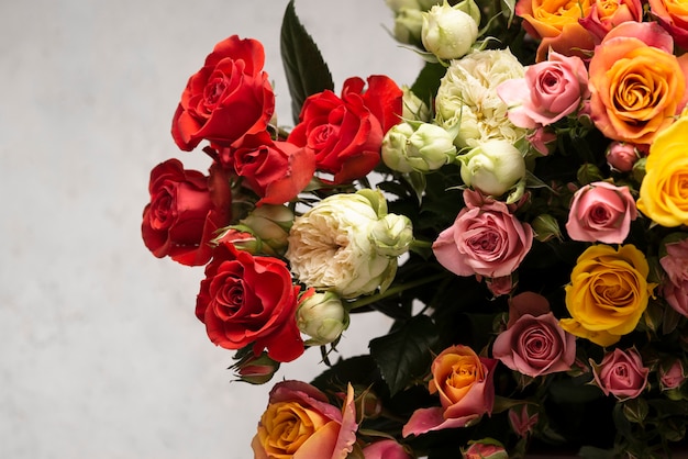 Flat lay of beautifully bloomed colorful rose flowers