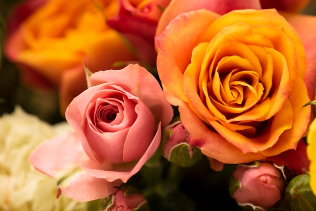 美しく咲いた色とりどりのバラの花のフラットレイ