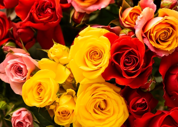美しく咲いた色とりどりのバラの花のフラットレイ