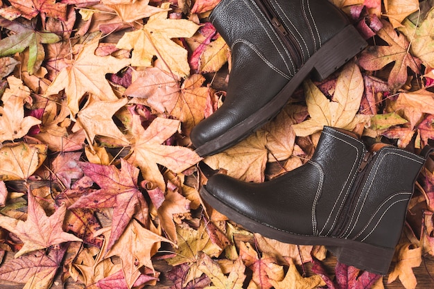 Плоские ботинки на фоне листьев