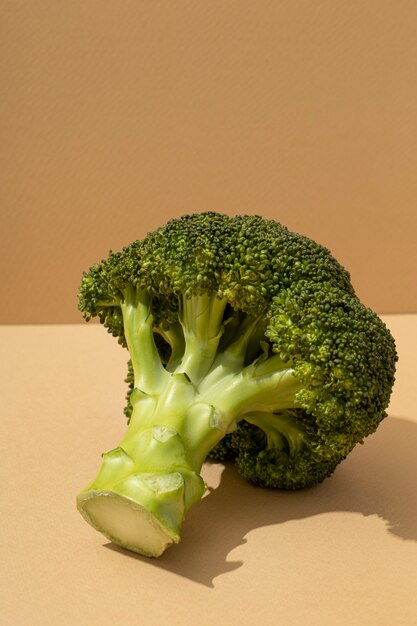 Flat lay of a broccoli