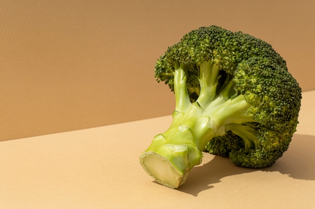 Flat lay of a broccoli