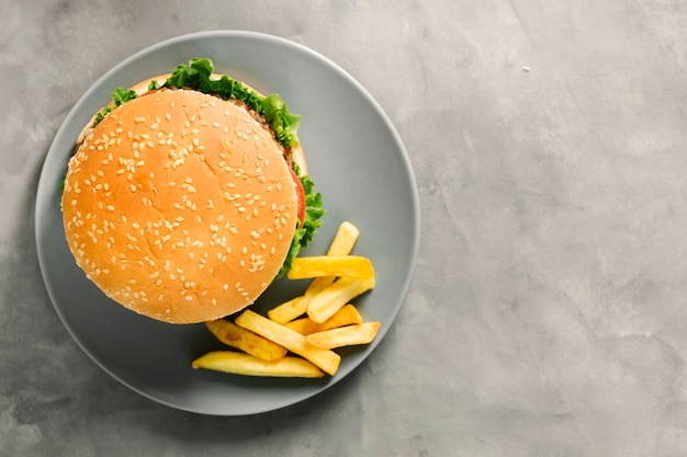 Flat-lay burger and fries on plate with copyspace