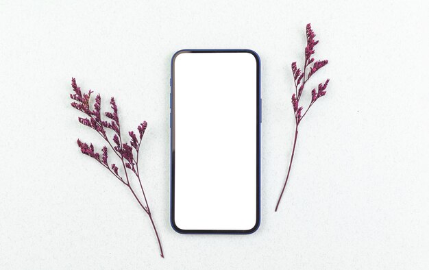 Концепция плоского бизнес-макета, современный смартфон с пустым белым экраном с сушеными цветами, вид сверху