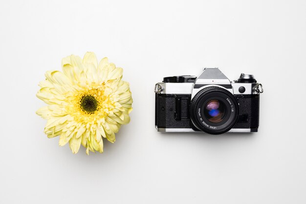 Flat lay of camera next to flower