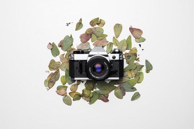 Free photo flat lay of camera on leaves