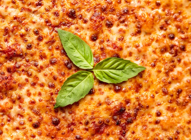 Flat lay cheese pizza with basil