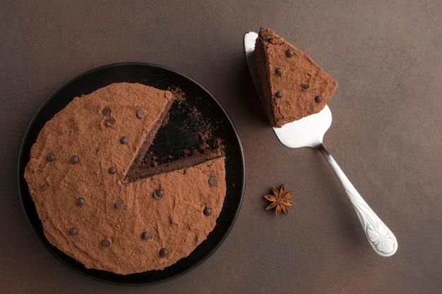 Flat lay of chocolate cake with cocoa powder and spatula