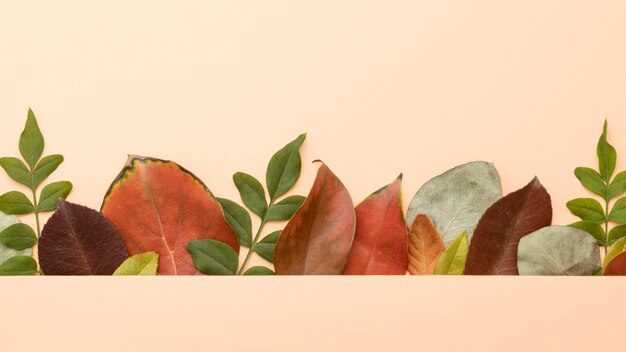 Free photo flat lay of colorful autumn leaves