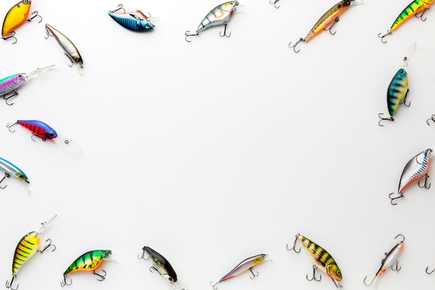 Free photo flat lay of colorful fish bait