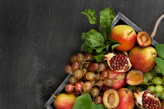 Flat lay composition of autumn fruits with copy space