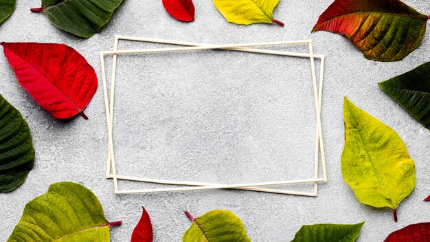 Flat lay composition of colorful leaves with empty frames