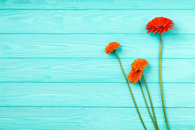 Flat lay composition of flowers with copyspace