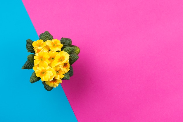 Flat lay composition of flowers with copyspace