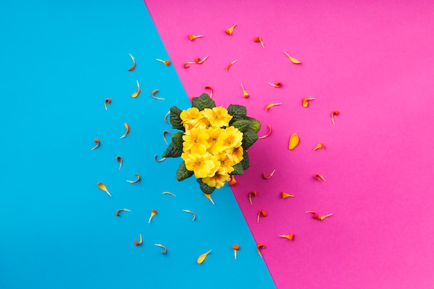 Free photo flat lay composition of flowers