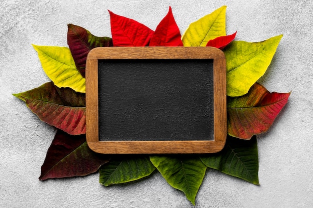 Free photo flat lay composition of leaves with empty blackboard