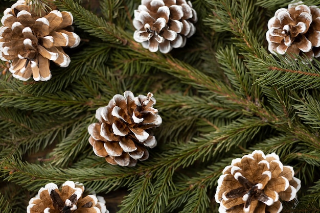 Flat lay cones and branches arrangement