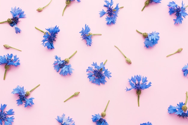 Flat lay cornflowers arrangement