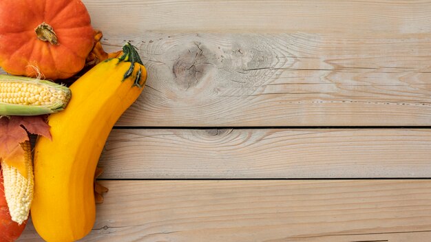 Flat lay corns and different pumpkins with copy space