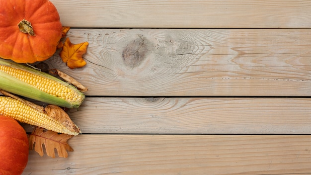 Flat lay corns and pumpkins with copy space