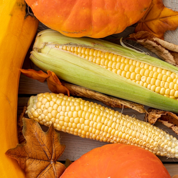 Flat lay corns and pumpkins