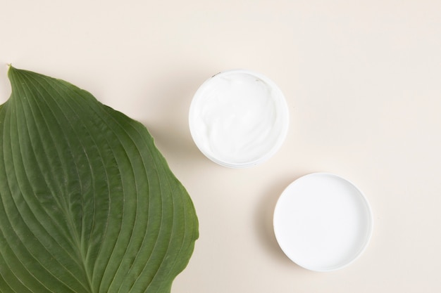 Flat lay of cream and leaf