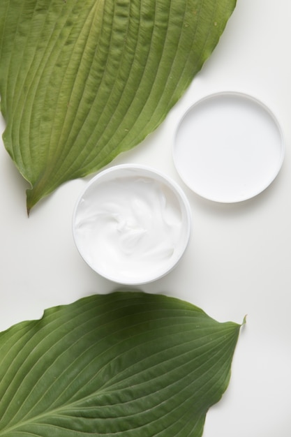 Flat lay of cream and leaves on white background