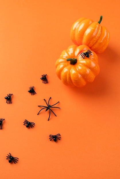 Flat lay creative halloween arrangement