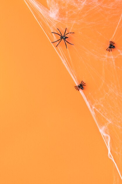 Flat lay creative halloween assortment